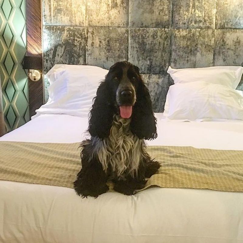 The Jay Hotel by HappyCulture